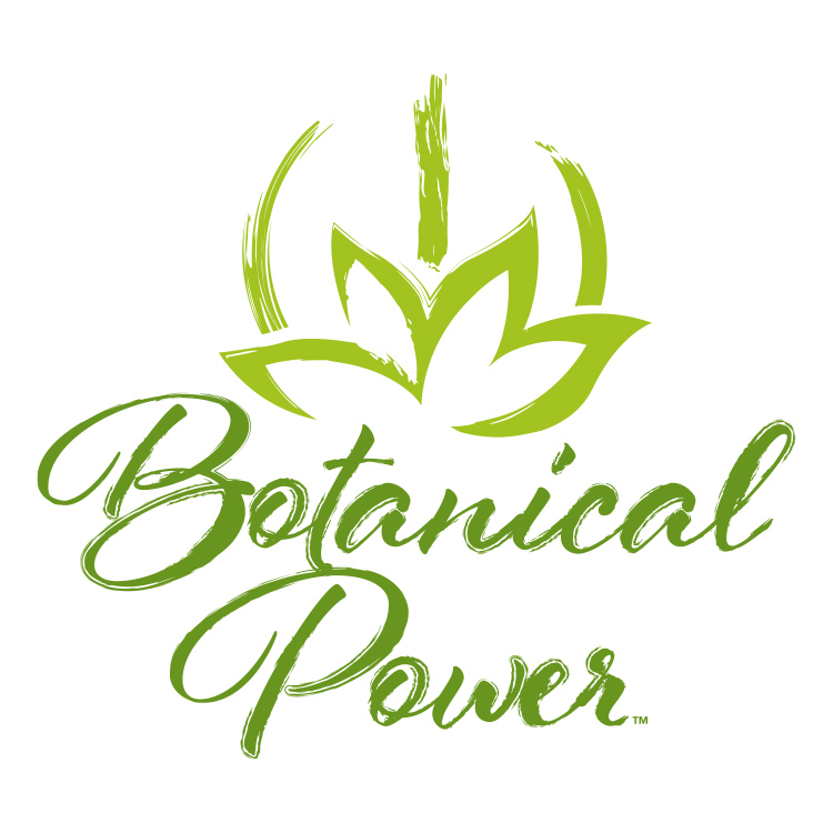Bontaincal Power - Logo